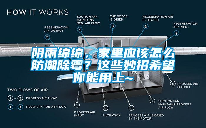 陰雨綿綿，家里應該怎么防潮除霉？這些妙招希望你能用上~