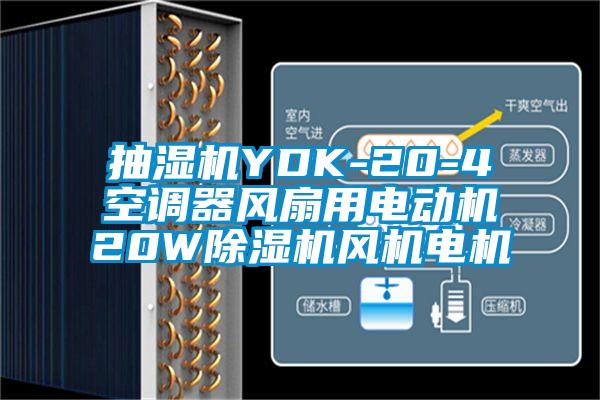 抽濕機(jī)YDK-20-4空調(diào)器風(fēng)扇用電動機(jī)20W除濕機(jī)風(fēng)機(jī)電機(jī)