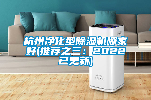 杭州凈化型除濕機(jī)哪家好(推薦之三：2022已更新)