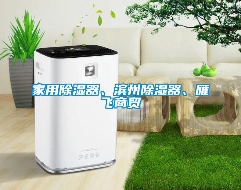 家用除濕器、濱州除濕器、雁飛商貿(mào)