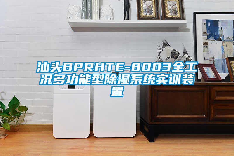 汕頭BPRHTE-8003全工況多功能型除濕系統(tǒng)實(shí)訓(xùn)裝置