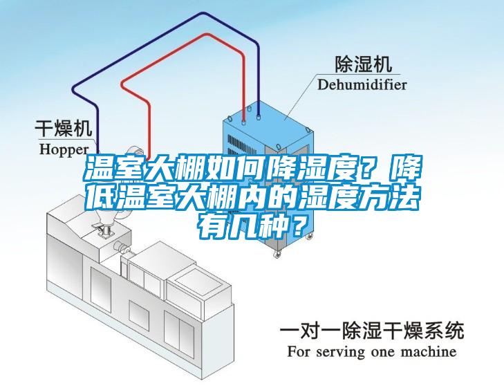 溫室大棚如何降濕度？降低溫室大棚內(nèi)的濕度方法有幾種？