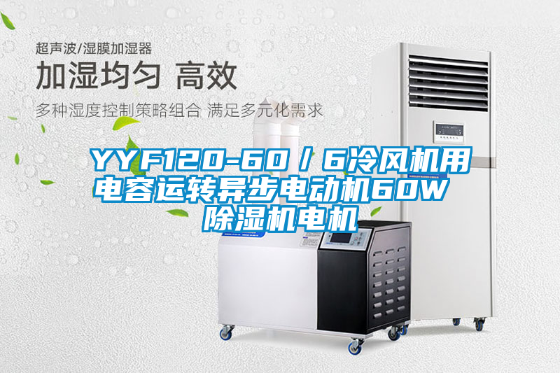 YYF120-60／6冷風(fēng)機用電容運轉(zhuǎn)異步電動機60W 除濕機電機