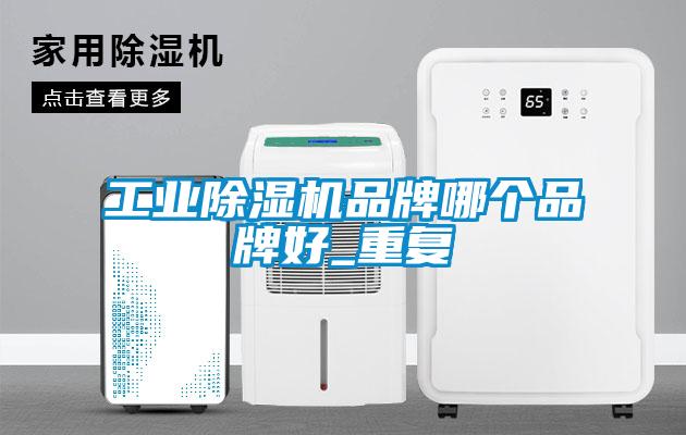 工業(yè)除濕機品牌哪個品牌好_重復(fù)