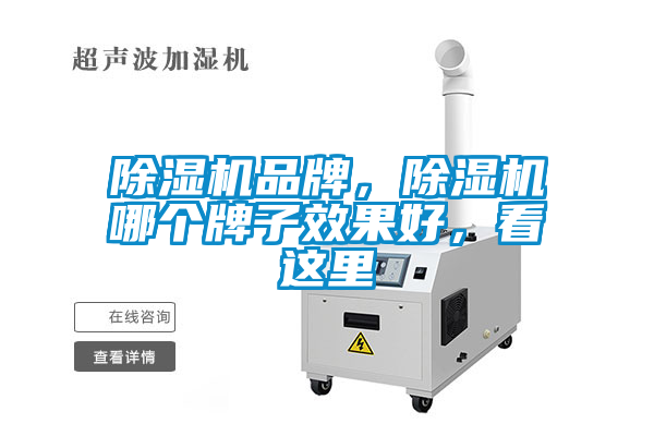 除濕機(jī)品牌，除濕機(jī)哪個牌子效果好，看這里