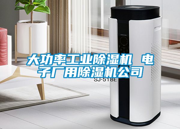 大功率工業(yè)除濕機(jī) 電子廠用除濕機(jī)公司