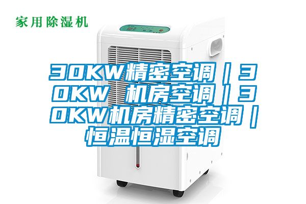 30KW精密空調(diào)｜30KW 機房空調(diào)｜30KW機房精密空調(diào)｜恒溫恒濕空調(diào)