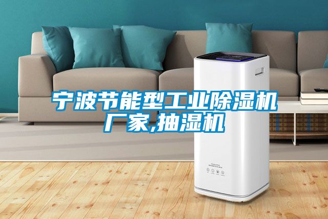 寧波節(jié)能型工業(yè)除濕機(jī)廠家,抽濕機(jī)