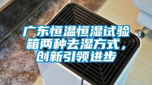 廣東恒溫恒濕試驗箱兩種去濕方式，創(chuàng)新引領(lǐng)進步