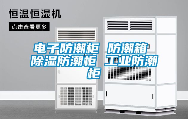 電子防潮柜 防潮箱 除濕防潮柜 工業(yè)防潮柜