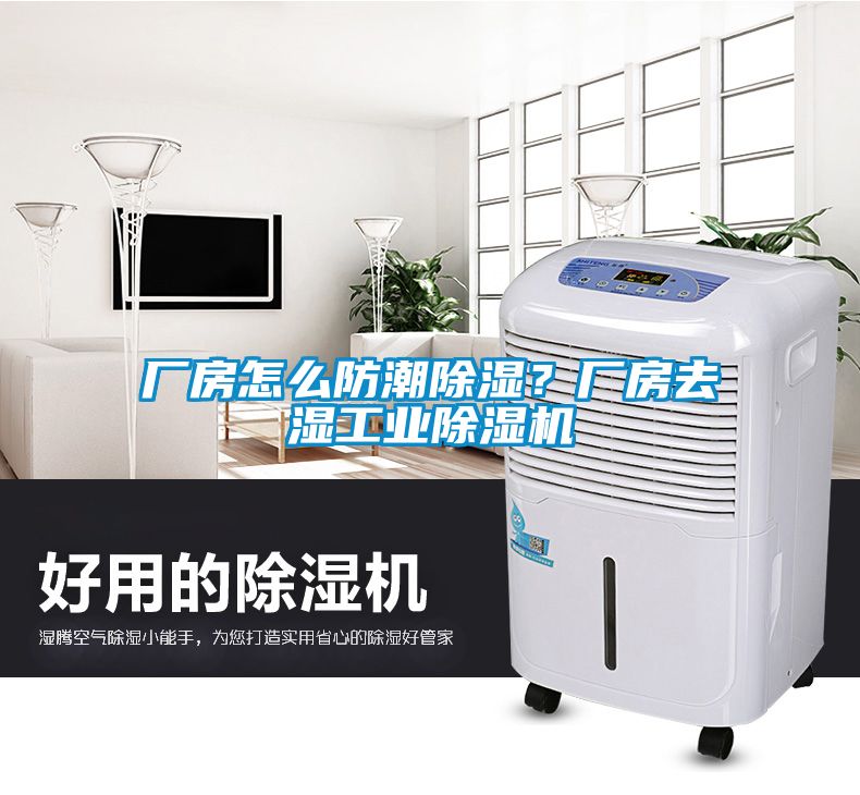 廠房怎么防潮除濕？廠房去濕工業(yè)除濕機