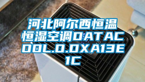 河北阿爾西恒溫恒濕空調(diào)DATACOOL.O.DXA13E1C