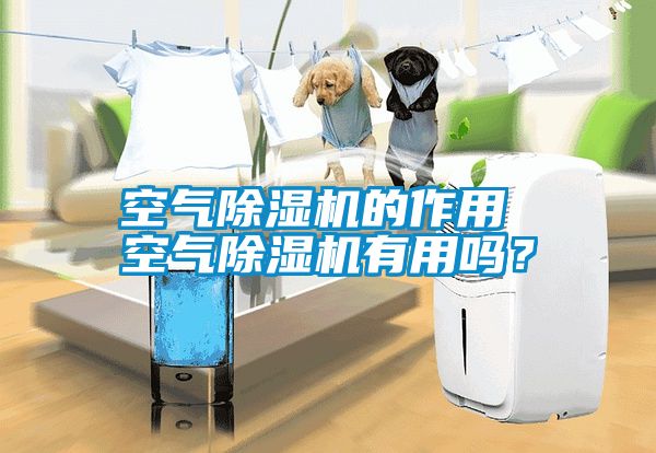 空氣除濕機的作用 空氣除濕機有用嗎？