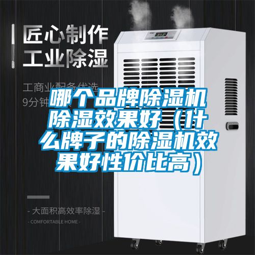 哪個品牌除濕機(jī)除濕效果好（什么牌子的除濕機(jī)效果好性價比高）