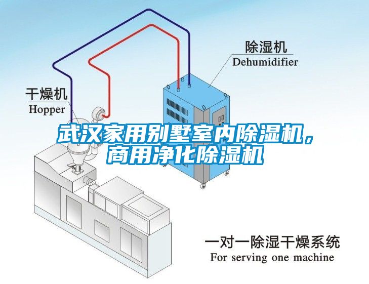 武漢家用別墅室內(nèi)除濕機，商用凈化除濕機