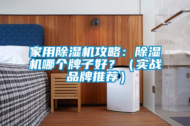 家用除濕機攻略：除濕機哪個牌子好？（實戰(zhàn)品牌推薦）