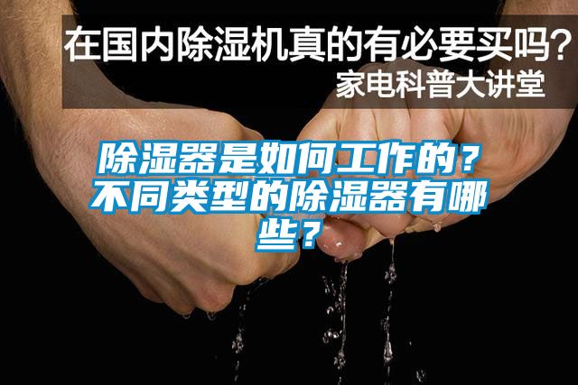 除濕器是如何工作的？不同類型的除濕器有哪些？