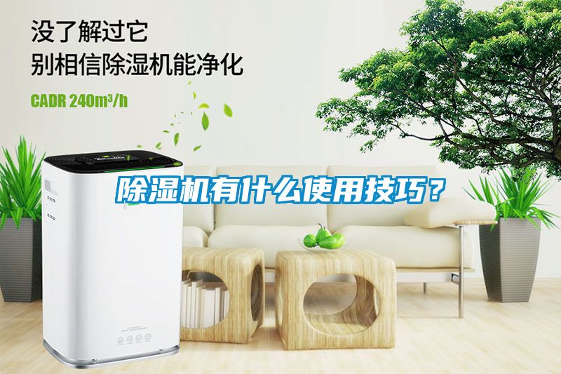 除濕機(jī)有什么使用技巧？