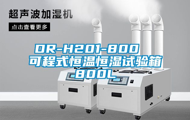 DR-H201-800  可程式恒溫恒濕試驗(yàn)箱800L