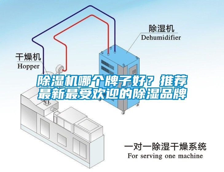 除濕機哪個牌子好？推薦最新最受歡迎的除濕品牌