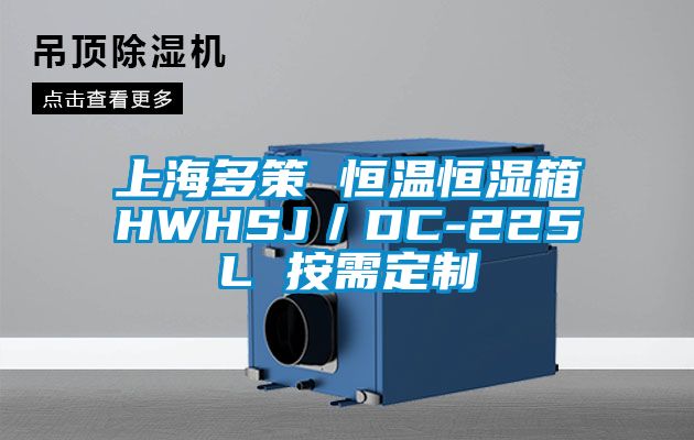 上海多策 恒溫恒濕箱HWHSJ／DC-225L 按需定制