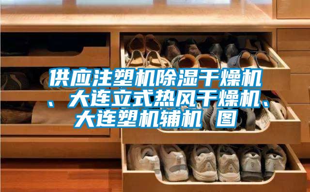 供應注塑機除濕干燥機、大連立式熱風干燥機、大連塑機輔機 圖