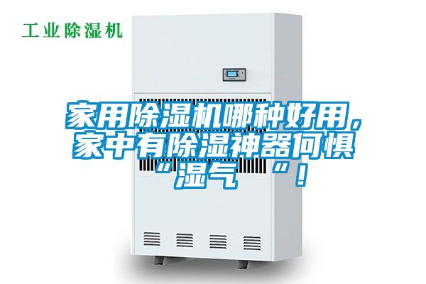 家用除濕機(jī)哪種好用，家中有除濕神器何懼 “濕氣 “！