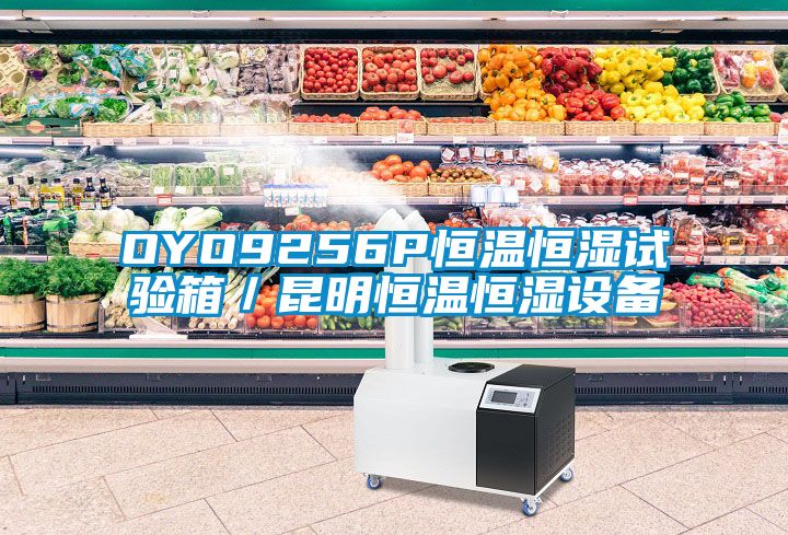 OYO9256P恒溫恒濕試驗(yàn)箱／昆明恒溫恒濕設(shè)備