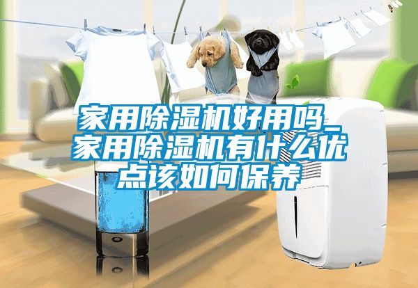 家用除濕機好用嗎_家用除濕機有什么優(yōu)點該如何保養(yǎng)