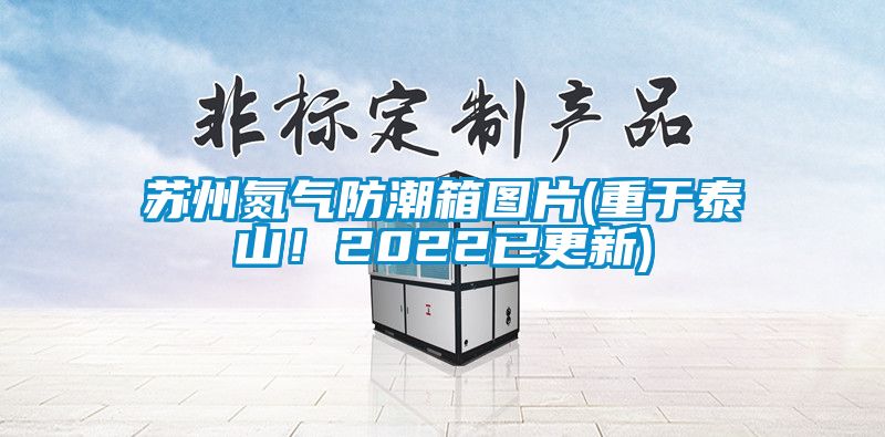 蘇州氮氣防潮箱圖片(重于泰山！2022已更新)